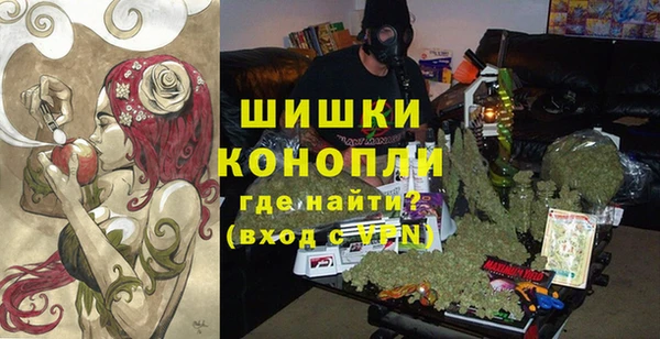 трава Белокуриха