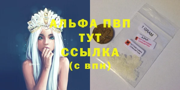 трава Белокуриха