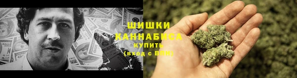 трава Белокуриха