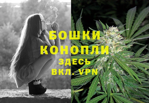 ПСИЛОЦИБИНОВЫЕ ГРИБЫ Белоозёрский