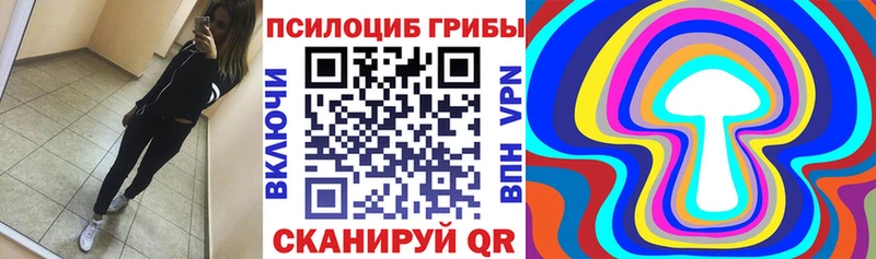 Псилоцибиновые грибы мухоморы  хочу наркоту  Нижнеудинск 