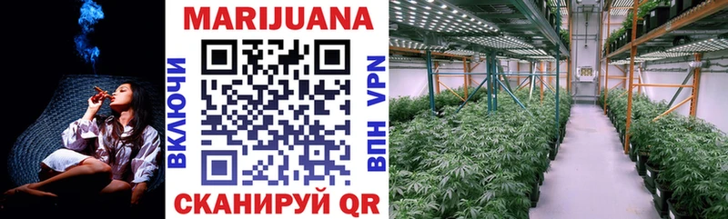 Бошки марихуана индика Нижнеудинск